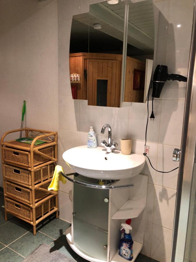 Ferienwohnung Nationalpark Eifel Nideggen Sauna 外观 照片